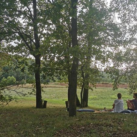 Casa Can Boix La Vall de Bianya Kültér fotó