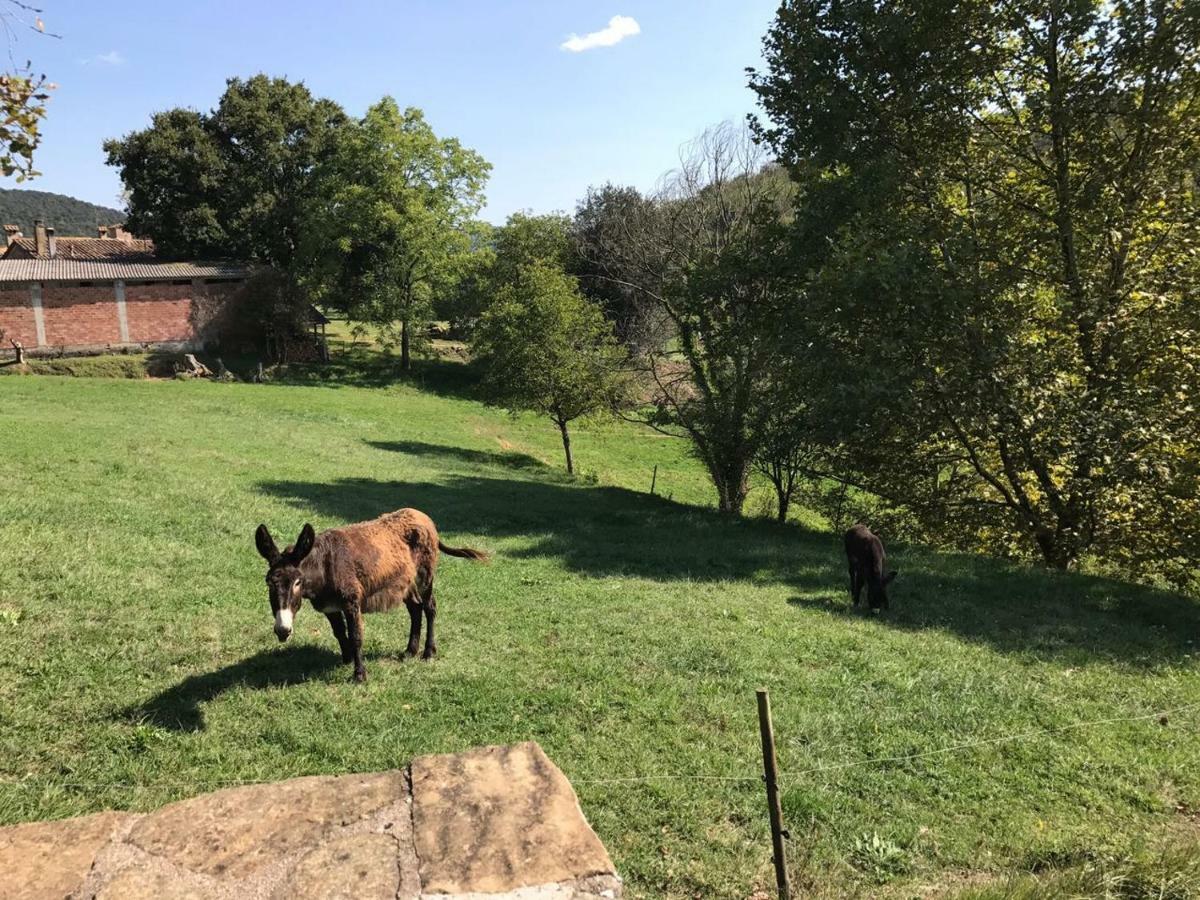 Casa Can Boix La Vall de Bianya Kültér fotó