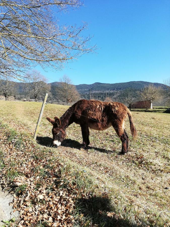Casa Can Boix La Vall de Bianya Kültér fotó