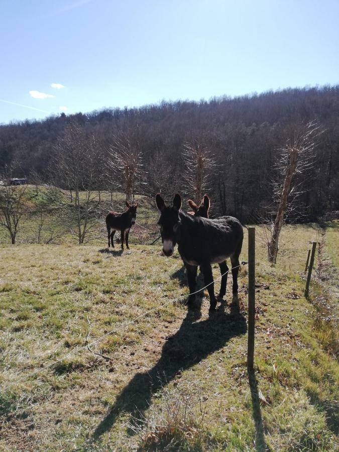 Casa Can Boix La Vall de Bianya Kültér fotó