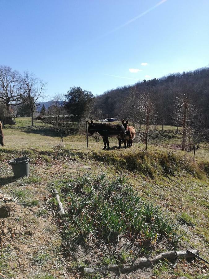 Casa Can Boix La Vall de Bianya Kültér fotó
